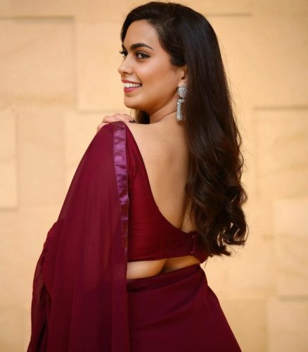 Burgundy Saree